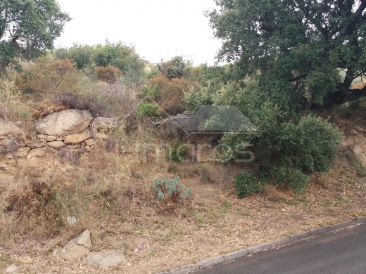 Terrain constructible de 750 m2 avec vue mer