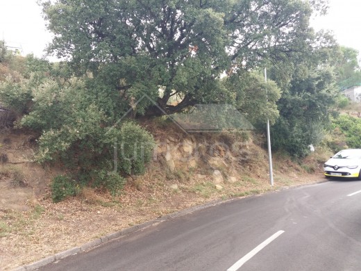 Terrain constructible de 750 m2 avec vue mer