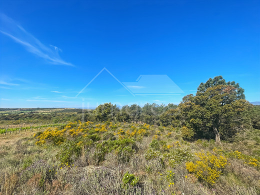 Rustikales Grundstück von 17.542 m2 in Garriguella-Costa Brava