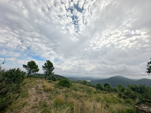 221-hectare estate in Sant Llorenç de la Muga, for sale in the Girona countryside