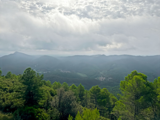 221-hectare estate in Sant Llorenç de la Muga, for sale in the Girona countryside