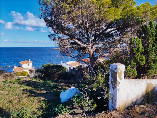 Parcelle de 573 m2 pour construire, avec vue sur le Cap de Creus et la mer.