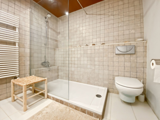 Maison avec grand jardin et loft indépendant au coeur du village