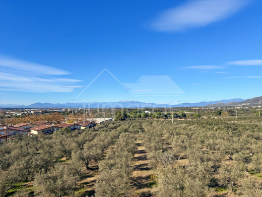 Appartement rénové avec terrasse et vue dégagée à Mas Oliva, Roses