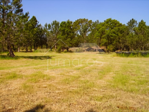 Rustikales Grundstück von 17.542 m2 in Garriguella-Costa Brava