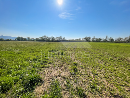 Terrain agricole et rural en vente à Empuriabrava
