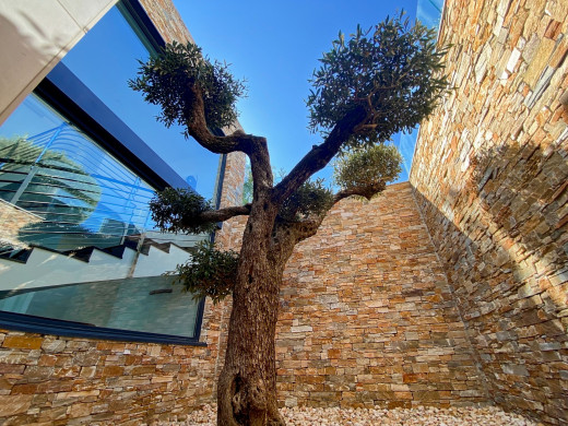 Luxury villa with impressive sea views on the first line in Llançà