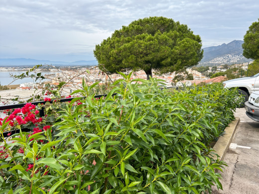 Helle Wohnung mit Meerblick in Roses