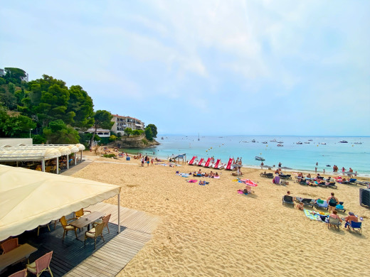 Appartement vue mer à 100m de la plage de Canyelles, parking + cave