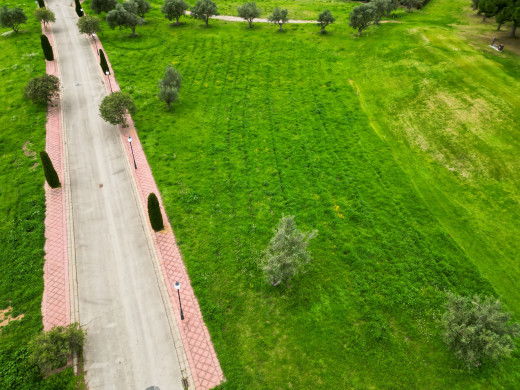 Terrain de 3226 m2 à Peralada