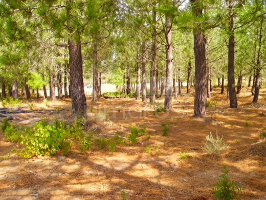 Rustikales Grundstück von 17.542 m2 in Garriguella-Costa Brava