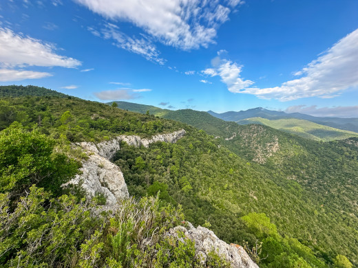 221-hectare estate in Sant Llorenç de la Muga, for sale in the Girona countryside