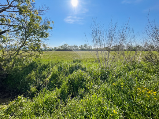 Terrain agricole et rural en vente à Empuriabrava