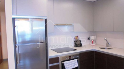 Luxueux appartement avec terrasse panoramique de 60 m2 vue mer et montagne.