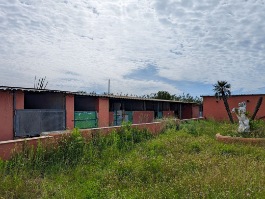 3_1717150906.jpg