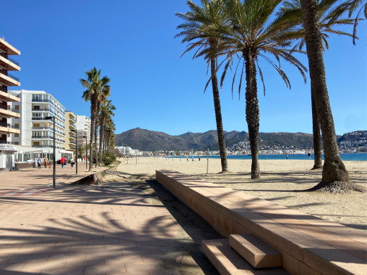 Für Investoren: Gewerbeimmobilien in Santa Margarita zu verkaufen