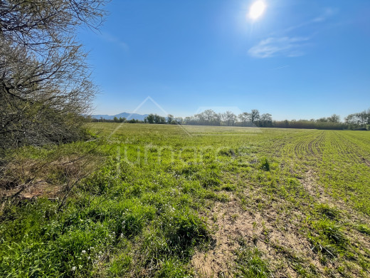 Terrain agricole et rural en vente à Empuriabrava