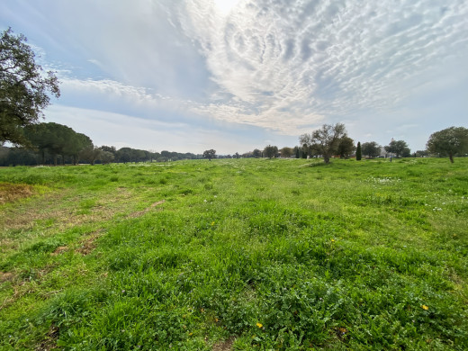 Parcela en venta en el Golf de Peralada
