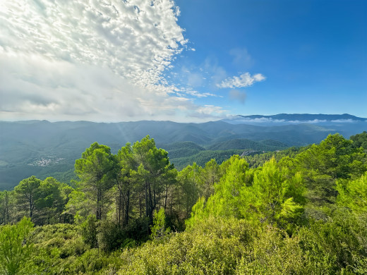 221-hectare estate in Sant Llorenç de la Muga, for sale in the Girona countryside