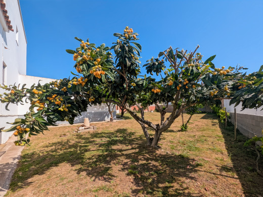 Maison avec 2 garages, grand terrain et sous-sol à La Garriga, Roses