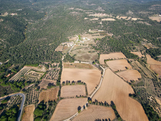 Mas rénové avec 38 hectares de terrain, à Agullana, proche de la frontière