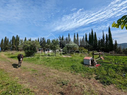 5_1717144711.jpg