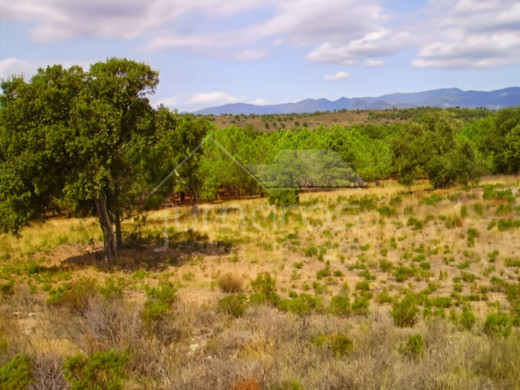 Rustikales Grundstück von 17.542 m2 in Garriguella-Costa Brava