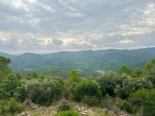 221-hectare estate in Sant Llorenç de la Muga, for sale in the Girona countryside