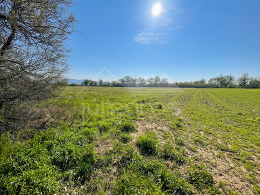 Terrain agricole et rural en vente à Empuriabrava