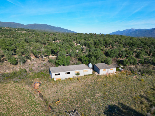Mas rénové avec 38 hectares de terrain, à Agullana, proche de la frontière