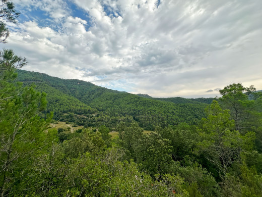 221-hectare estate in Sant Llorenç de la Muga, for sale in the Girona countryside