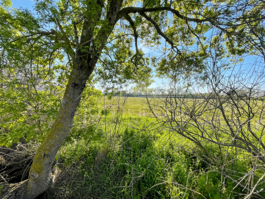 Terrain agricole et rural en vente à Empuriabrava