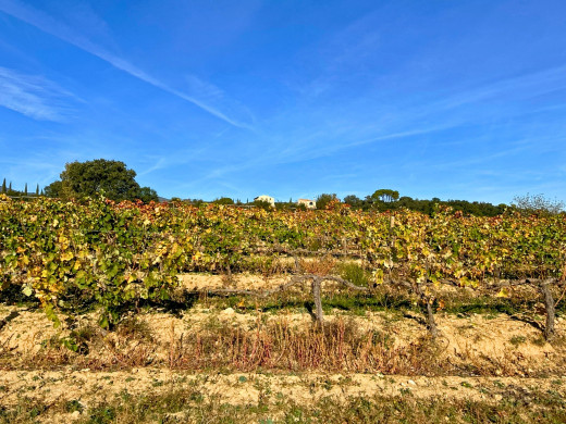Mas rénové avec 38 hectares de terrain, à Agullana, proche de la frontière