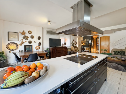 Modern house with garden and garage in Empuriabrava