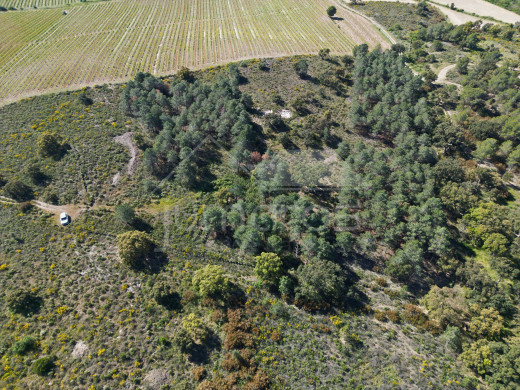 Rustikales Grundstück von 17.542 m2 in Garriguella-Costa Brava