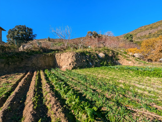 Masía de 100 hectáreas cerca de Figueres y de la frontera francesa