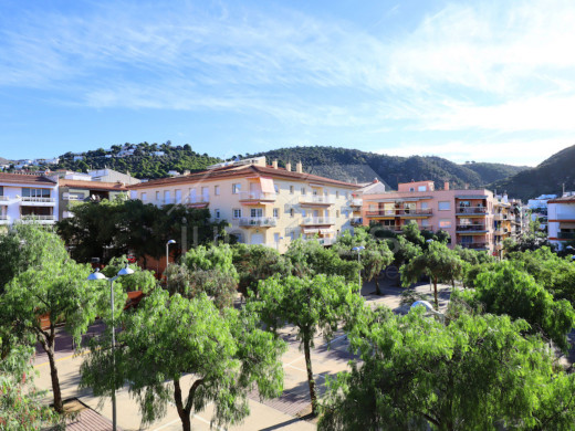 Appartement centre de Roses et 100 mètres de la plage