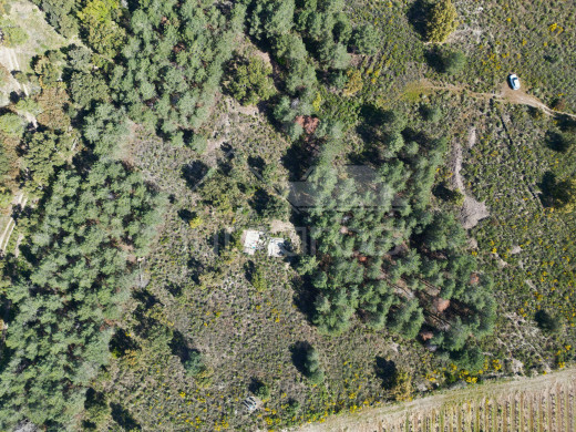 Rustikales Grundstück von 17.542 m2 in Garriguella-Costa Brava