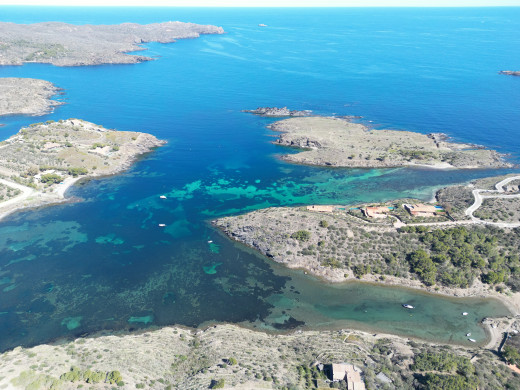 DJI_0637_1760630275.jpg