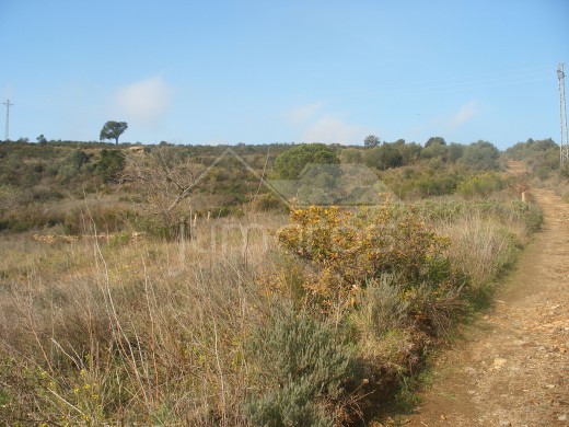 Terrain rustique de 25 000 m2