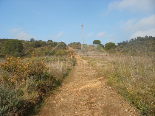 Terrain rustique de 25 000 m2
