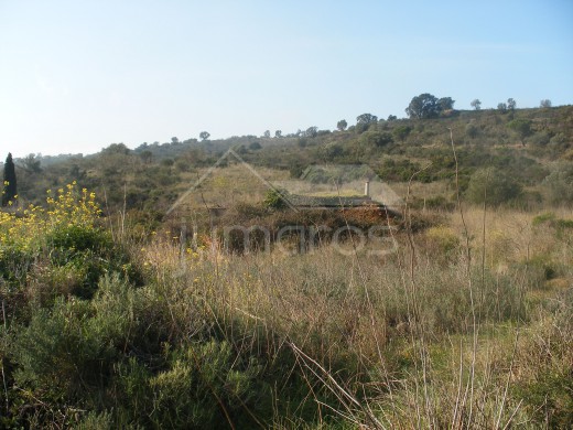 Terrain rustique de 25 000 m2