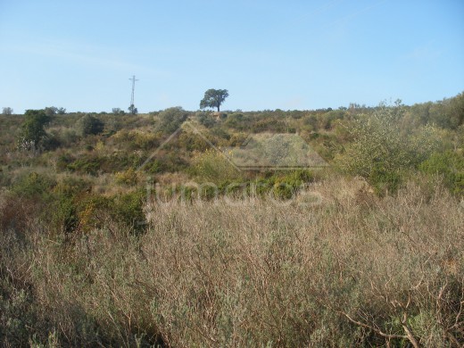 Terrain rustique de 25 000 m2