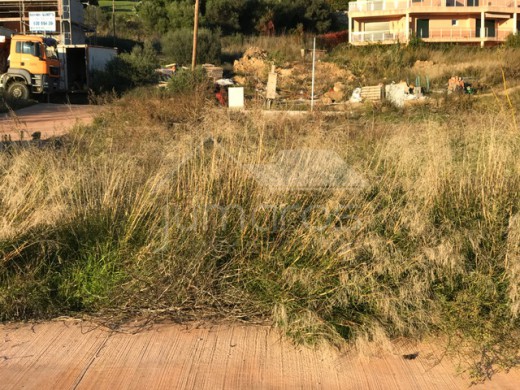 Terrain Constructible viabilisé de 385 m²