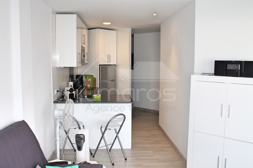 Rénové, vue canal, terrasse et amarre privée