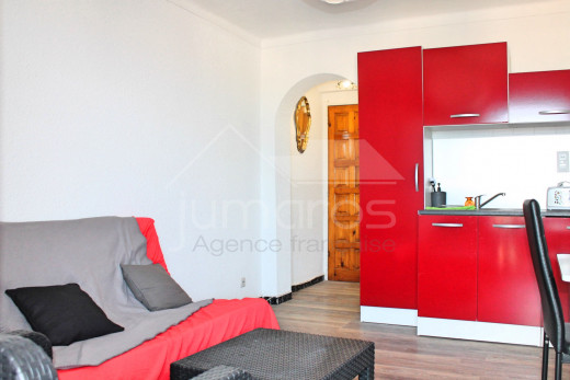 1 chambre, rénové avec terrasse et belle vue