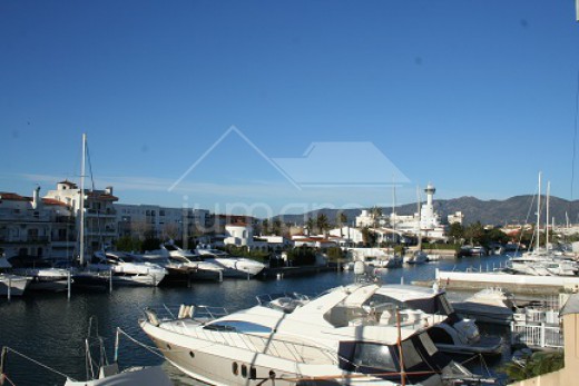 IMG_1549.jpg