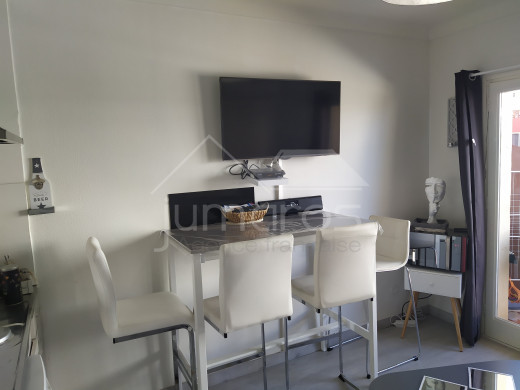 Joli appartement, 100m plage, vue mer