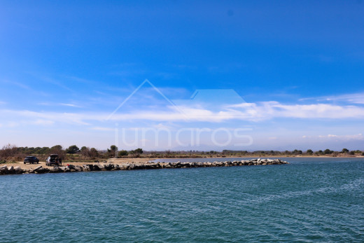IMG_6788_1679497315.jpg