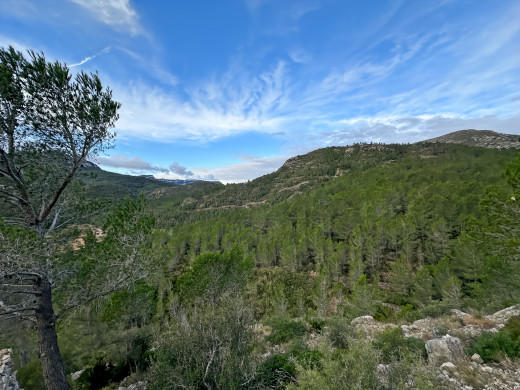 Masía catalana con terreno de 28 ha en Tarragona, Cataluña